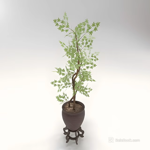 Potted Indoor Plant with Green Leaves and Brown Trunk in Dark Brown Three Footed Pot 3d model 