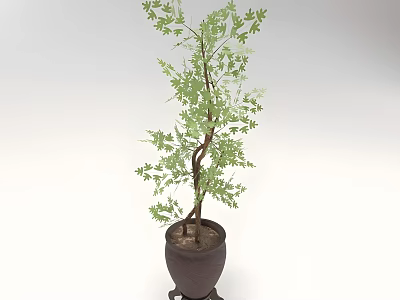 Potted Indoor Plant with Green Leaves and Brown Trunk in Dark Brown Three Footed Pot 3d model