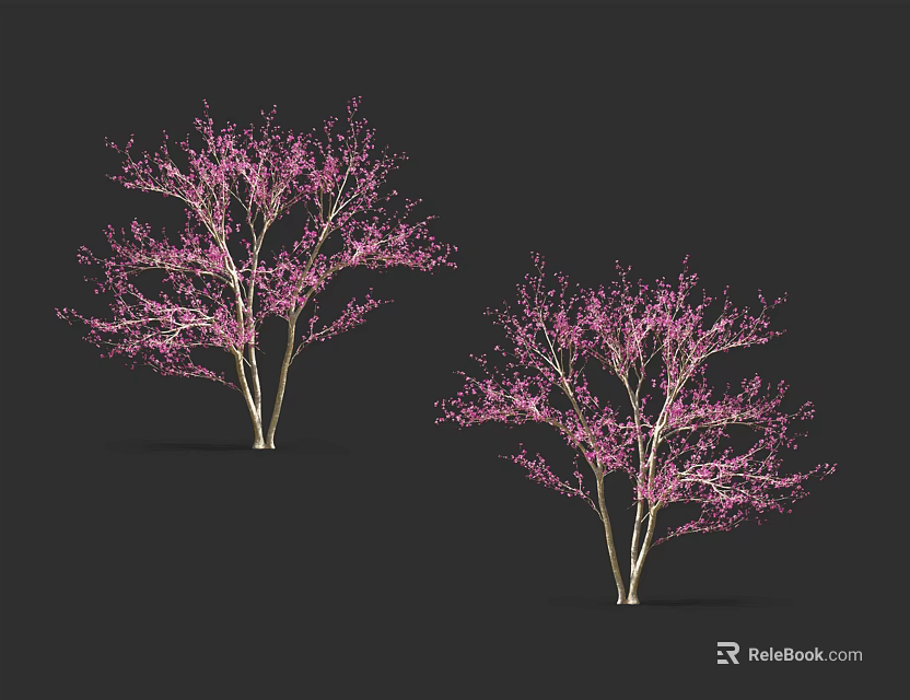 Two Ornamental Trees with Pink Blossoms and White Trunks on Dark Background 3d model 
