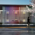 Modern Scenic Wall With Colorful Glass Light Shadow Effect Near Cherry Blossom Tree And Pedestrian