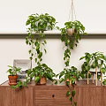 Indoor Hanging And Tabletop Potted Plants With Green Trailing Vines On Wooden Cabinet