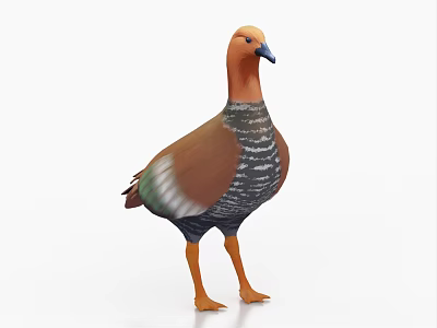 Colorful Brown And Orange Bird With Green Striped Feathers Standing On White Background 3d model