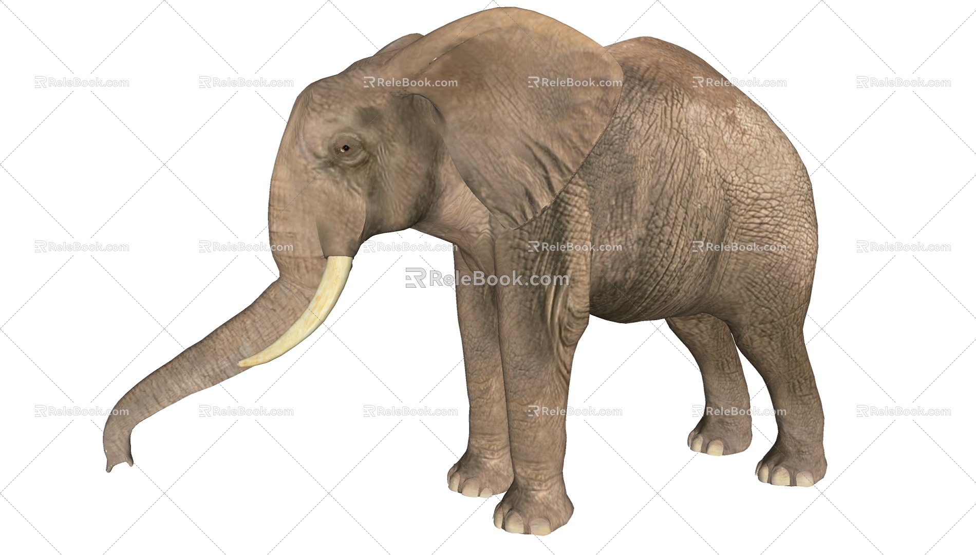 Elephant 3d model