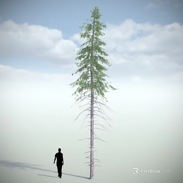 Tall Arbor Standing In Natural Landscape With Blue Sky White Clouds And Person Silhouette 3d model 