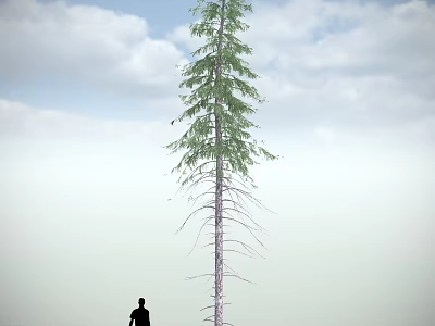 Tall Arbor Standing In Natural Landscape With Blue Sky White Clouds And Person Silhouette 3d model