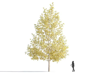 Tall Arbor With Yellow Leaves Standing Outdoors Beside A Person Silhouette 3d model