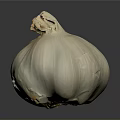 Fresh White Garlic Bulb With Natural Texture On Dark Background And Reflection