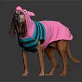Brown Dog Wearing Pink And Teal Striped Outfit With Pig Ear Decorations