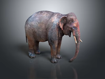 Adult Elephant With Rough Skin And White Tusks Standing On Grey Background 3d model