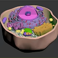 Medical Device for Detailed 3D Visualization of Cell Structure and Organelles