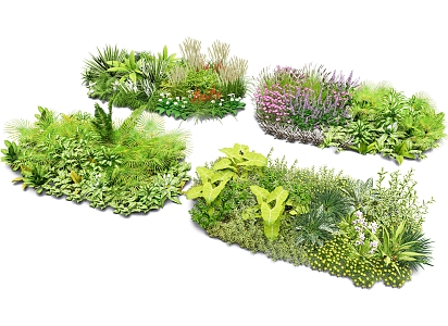 Flowers and plants groups Landscape grounds Courtyard flowers and plants Flower border plant combinations 3d model