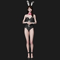 Beautiful Woman Character Bunny Waiter 3d model