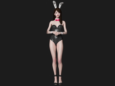 Beautiful Woman Character Bunny Waiter 3d model