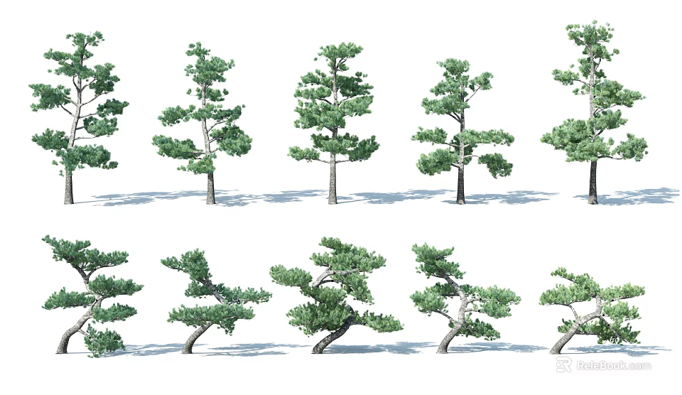 Diverse Garden Trees In Various Shapes And Lush Foliage For Landscaping 3d model 