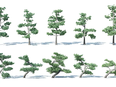 Diverse Garden Trees In Various Shapes And Lush Foliage For Landscaping 3d model