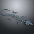 Detailed Anatomical Structure of Lizard Skeleton with Reptile Bone Features and Scientific Model