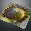 Garden Landscape Design Model Featuring Layered Terrain And Vibrant Colored Vegetation Natural Layout