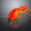 Detailed Red Cockroach With Long Antennae On Dark Reflective Surface 3d model