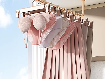 Pink Gray Lingerie With Lace Skirts Hanging On Hanger Balcony Blue Sky 3d model