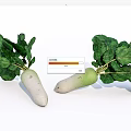 Fresh White Radishes With Green Leaves And White Roots On White Background