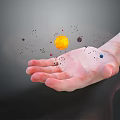 Decorative Ornament Set Featuring Solar System Sun Planets and Small Particles on Hand
