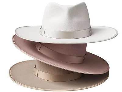 Stacked Wide Brim Hats In White Pink And Beige Tones 3d model