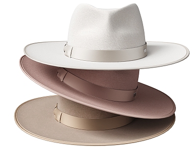 Modern hat 3d model