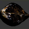 Shiny Dark Mussel Shell with Iridescent Sheen Close Up on Gray Background 3d model