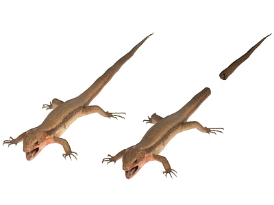Three Brown Lizards With Open Mouths And Different Sizes On White Background 3d model Three Brown Lizards With Open Mouths And Different Sizes On White Background 3d model