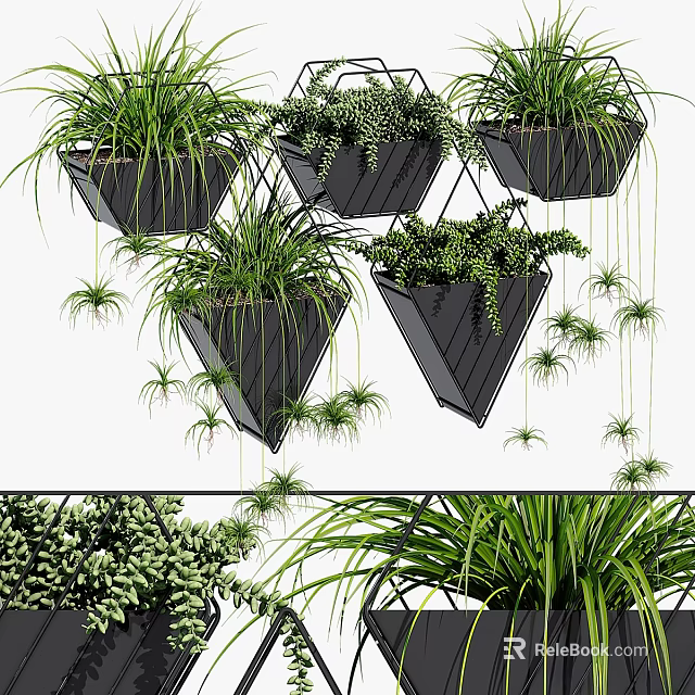 Modern Indoor Decorative Plant Arrangement With Hanging Geometric Planters And Lush Green Foliage 3d model 