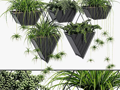 Modern Indoor Decorative Plant Arrangement With Hanging Geometric Planters And Lush Green Foliage 3d model