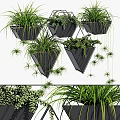 Modern Indoor Decorative Plant Arrangement With Hanging Geometric Planters And Lush Green Foliage