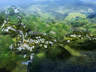 Aerial View Planning of Rural Village Layout With Green Farmland Mountains And River 3d model