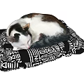 Reptile Resting On Black And White Geometric Patterned Pet Mat 3d model