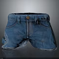 Blue Denim Shorts With Distressed Design Front Button And Side Pockets