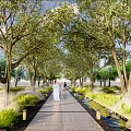 Yellow Decorative Lights Wrapped Around Trees Along Night Scenic Pathway With Greenery And Ground Lights