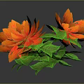 Vibrant Botanical Plant with Red and Orange Flowers and Lush Green Leaves on Dark Background