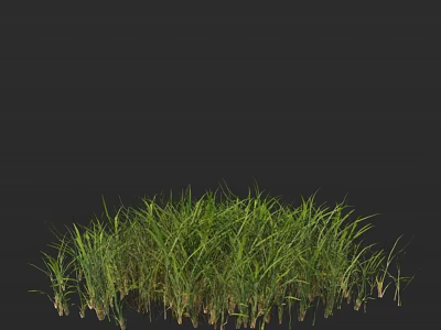 Lush Green Grass Growing On Black Background With Natural Texture 3d model