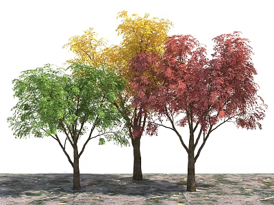 Colorful Arbor Trees With Green Yellow Red Leaves Standing On Ground 3d model