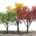 Colorful Arbor Trees With Green Yellow Red Leaves Standing On Ground