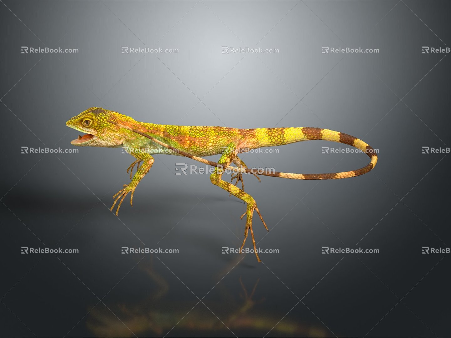 Lizard Anime Lizard Cartoon Lizard Reptile Cold Blooded Animal Reptile Reptile 3d model