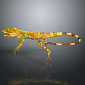 Lizard Anime Lizard Cartoon Lizard Reptile Cold Blooded Animal Reptile 3d model