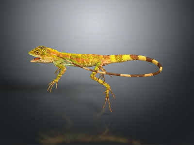 Vibrant Green and Yellow Reptile Lizard Showcasing Unique Long Tail Features 3d model