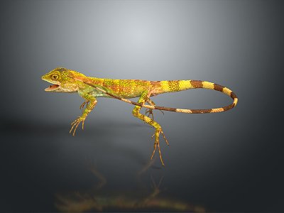 Lizard Anime Lizard Cartoon Lizard Reptile Cold Blooded Animal Reptile 3d model