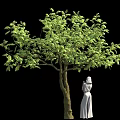 Green Leafy Tree With Forked Trunk And White Dress Female Statue On Black Background
