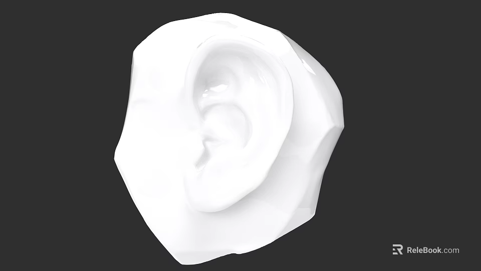Realistic White 3D Ear Model on Black Background with Detailed Structure 3d model 
