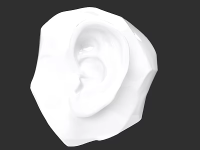 Realistic White 3D Ear Model on Black Background with Detailed Structure 3d model