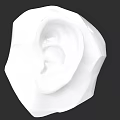 Realistic White 3D Ear Model on Black Background with Detailed Structure 3d model