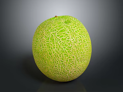 Fresh Ripe Cantaloupe With Vibrant Green Netted Skin On Dark Surface 3d model