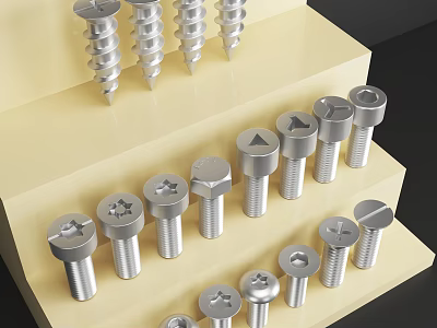 Various Types of Hardware Tools Screws and Bolts Arranged on Layered Display Stand 3d model